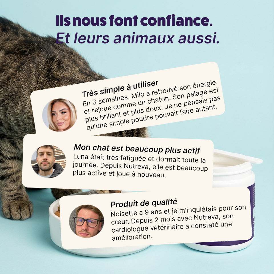 Poudre de taurine pour chat
