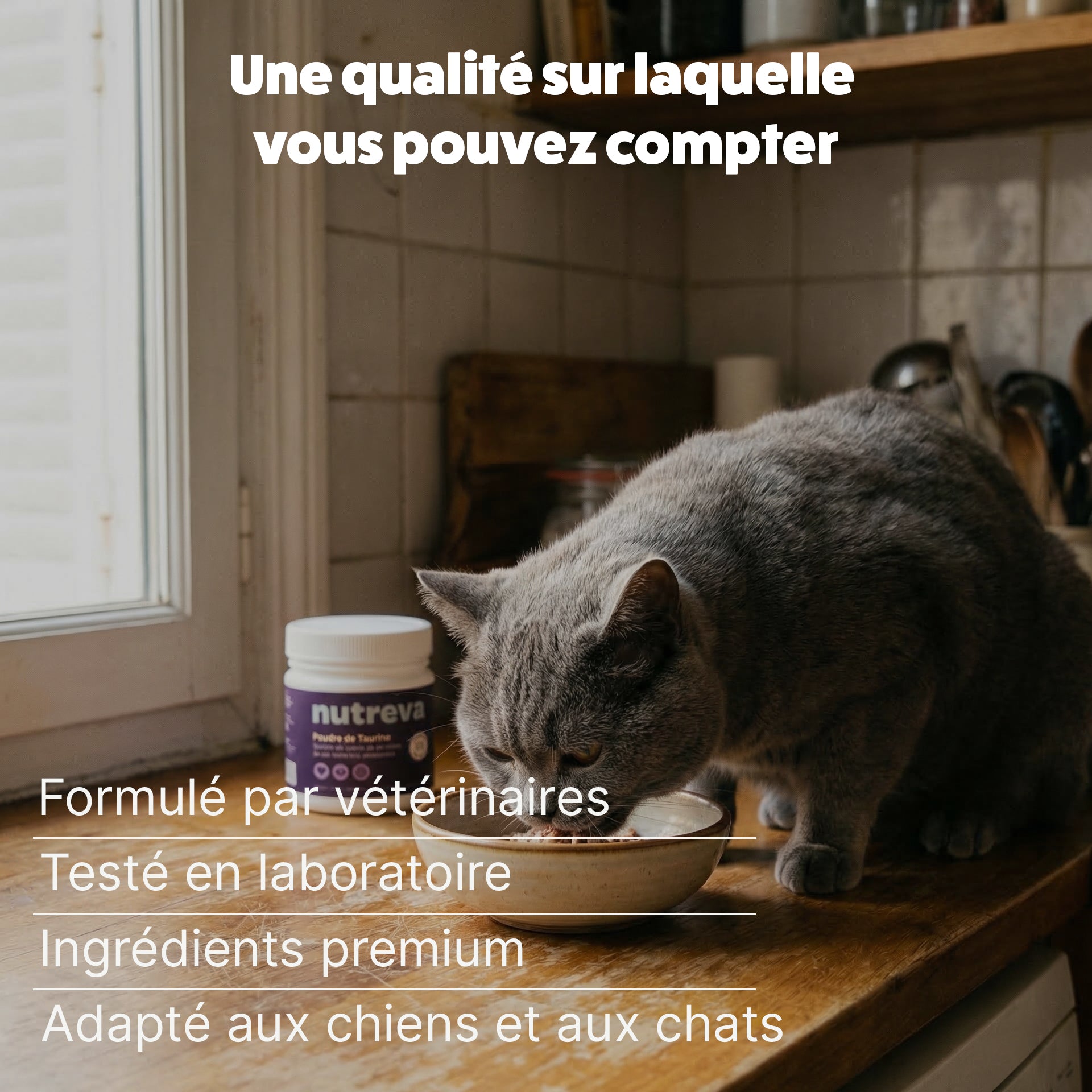 Poudre de taurine pour chat