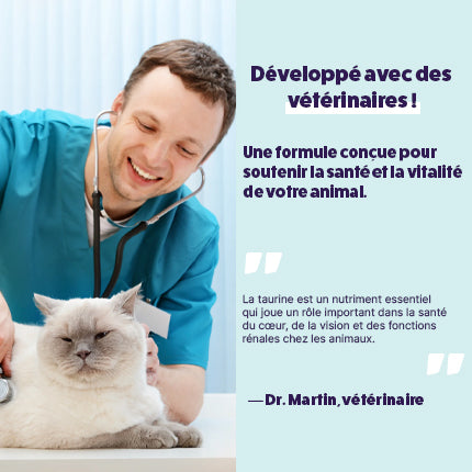 Poudre de taurine pour chat