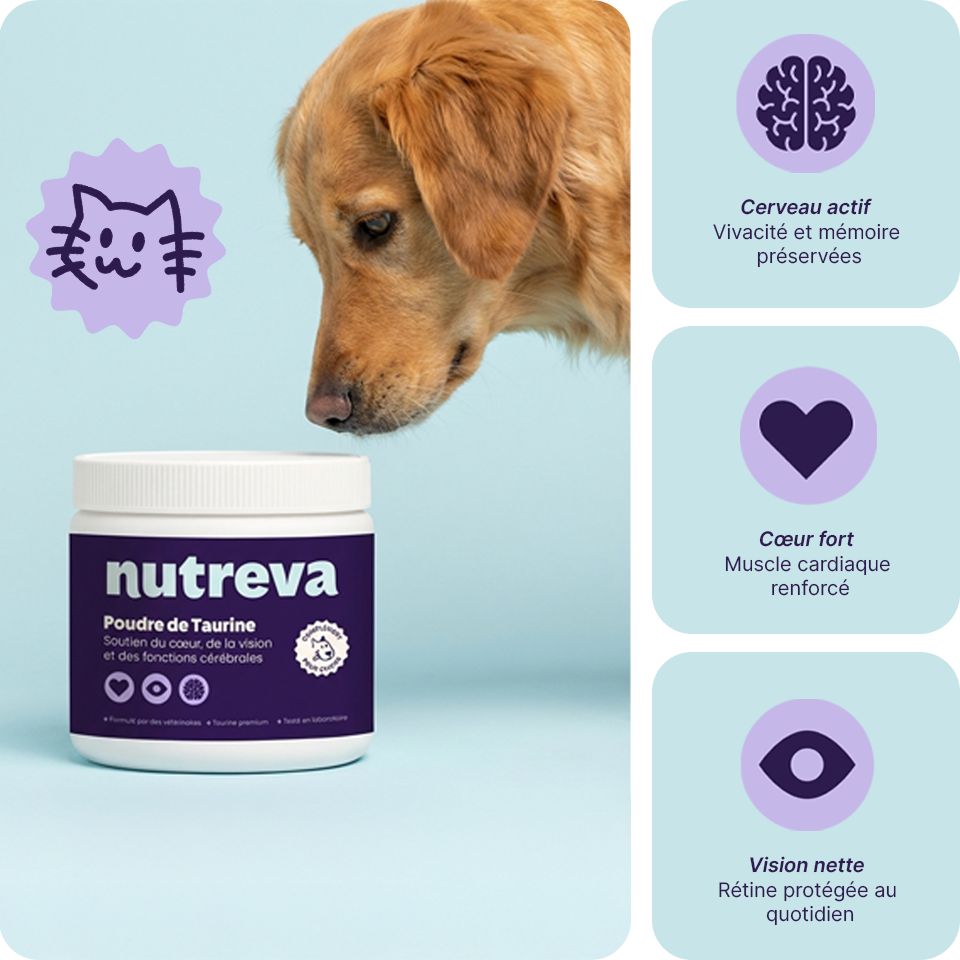 Poudre de taurine pour chien
