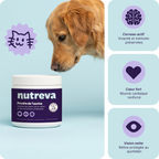 Poudre de taurine pour chien