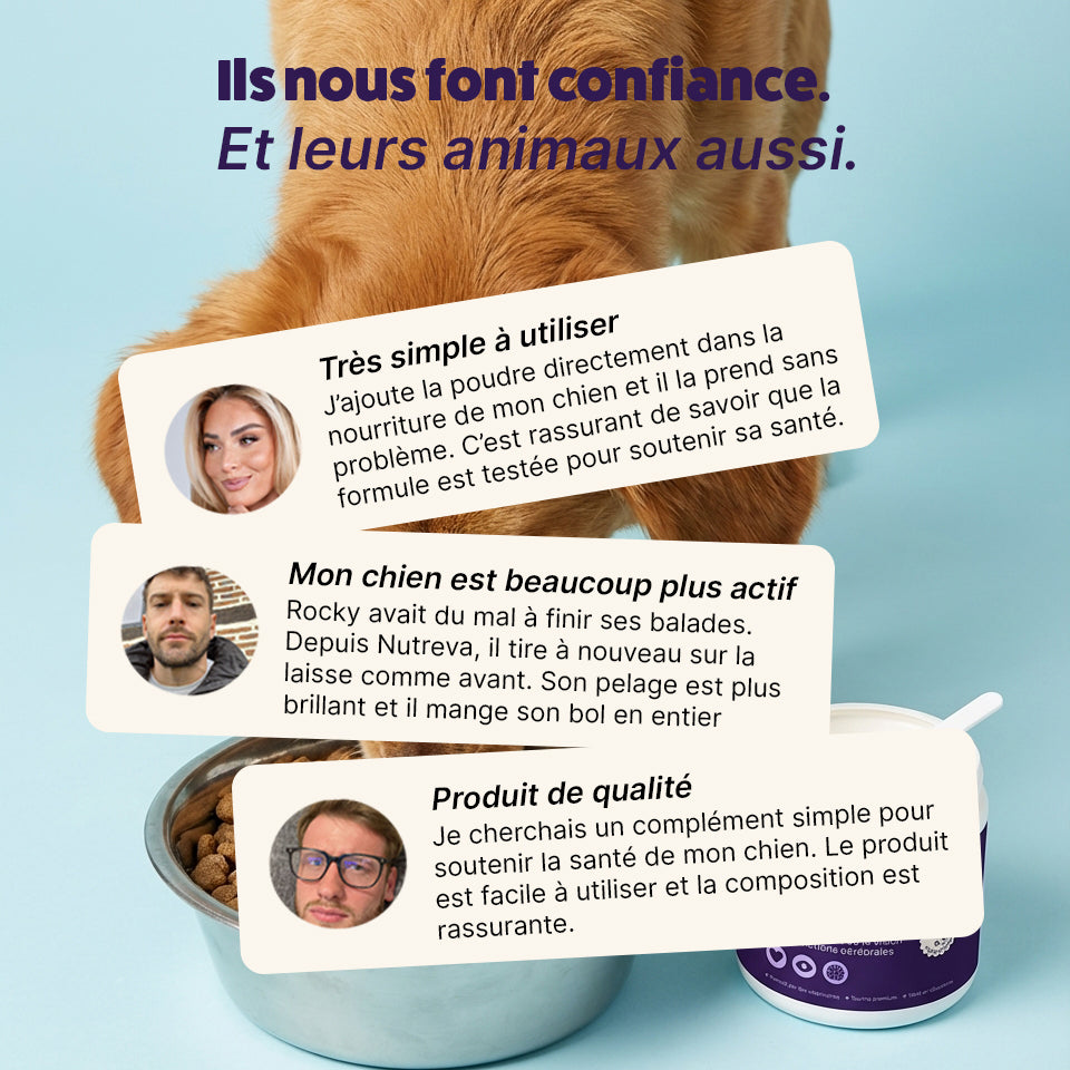 Poudre de taurine pour chien