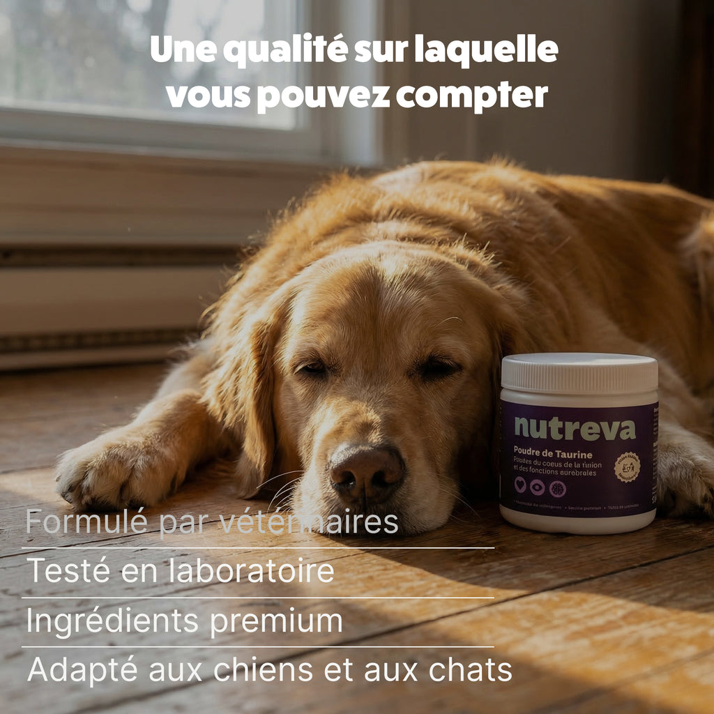 Poudre de taurine pour chien