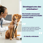 Poudre de taurine pour chien