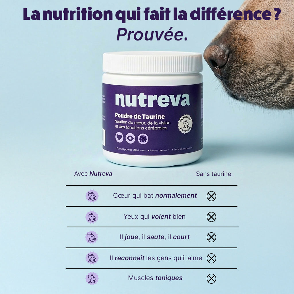 Poudre de taurine pour chien