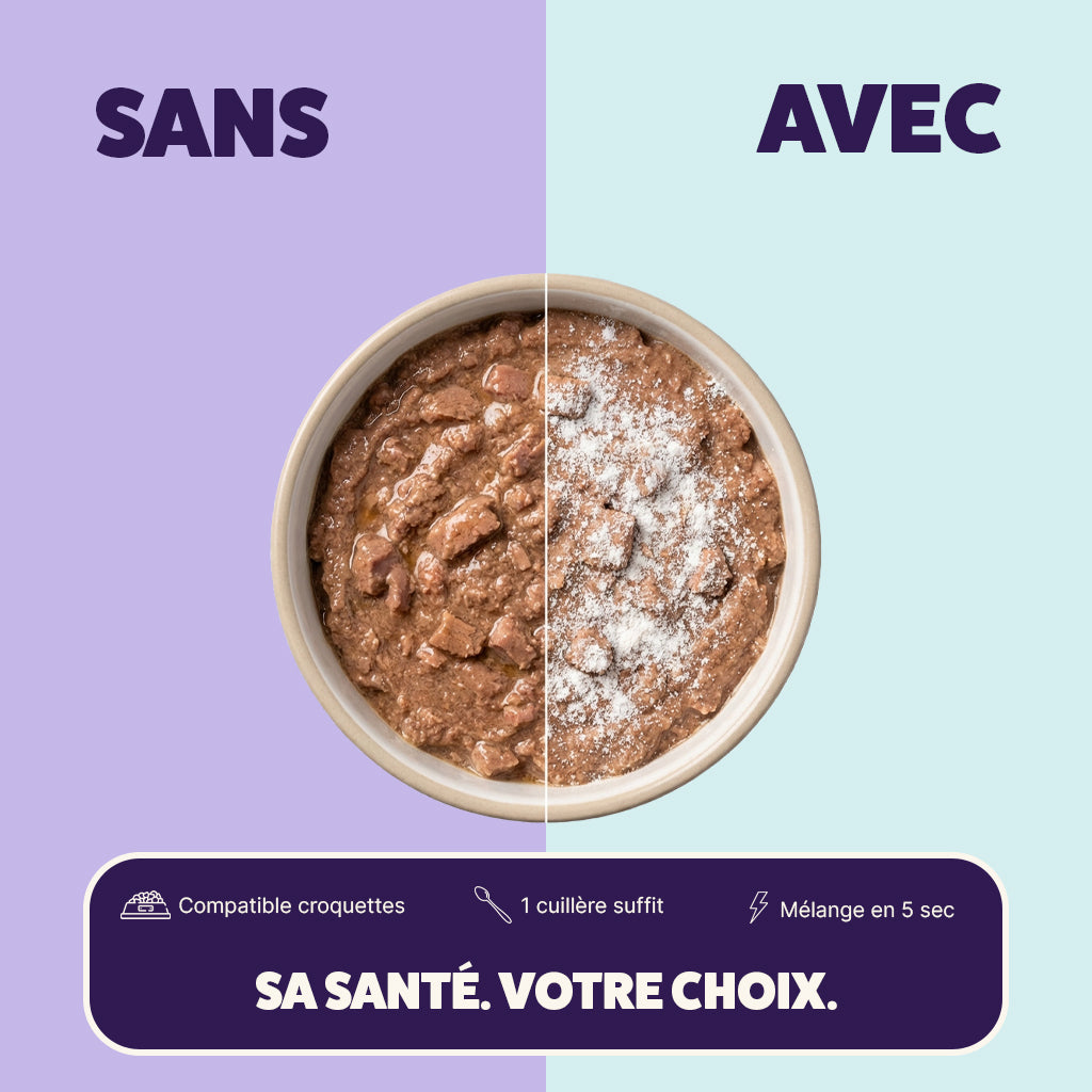 Poudre de taurine pour chat