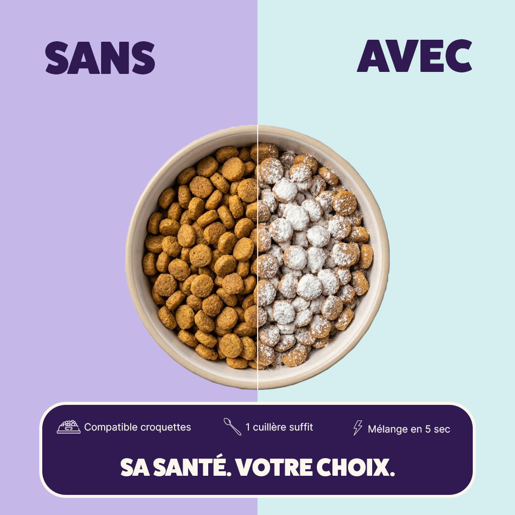 Poudre de taurine pour chien