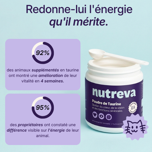 Poudre de taurine pour chat