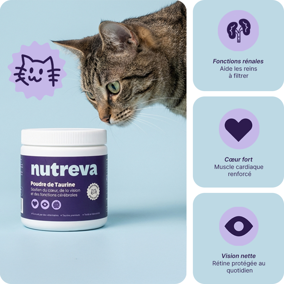 Poudre de taurine pour chat
